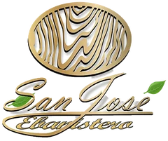 Logotipo de San José Ebanistero